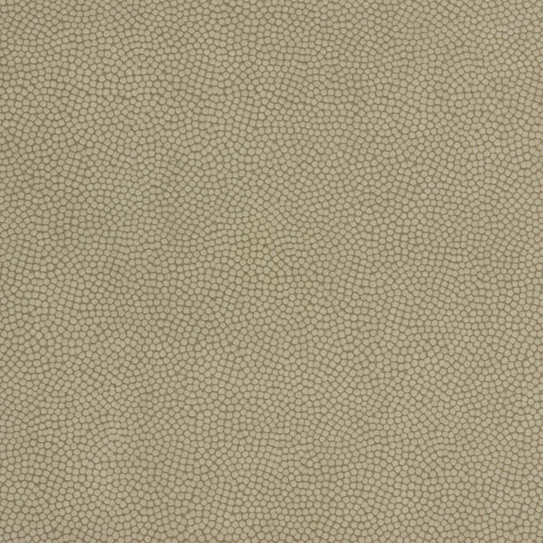 Beautymark fabric in greystone color - pattern BEAUTYMARK.106.0 - by Kravet Couture