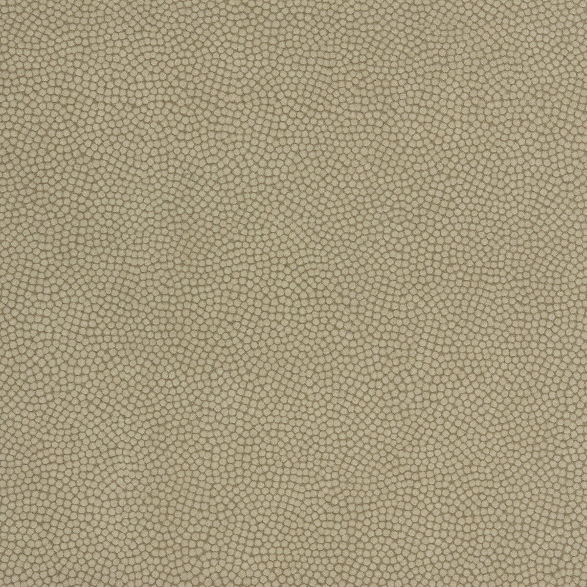 Beautymark fabric in greystone color - pattern BEAUTYMARK.106.0 - by Kravet Couture