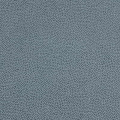 Beautymark fabric in shale color - pattern BEAUTYMARK.21.0 - by Kravet Couture