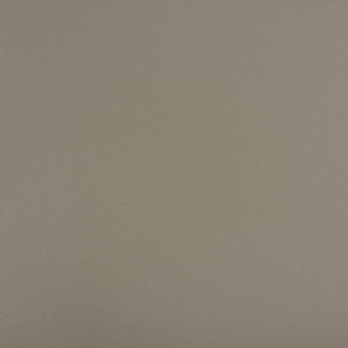 Beech fabric in beech-1101 color - pattern number BEECH.1101.0 - by Kravet Design in the Faux Leather IV collection