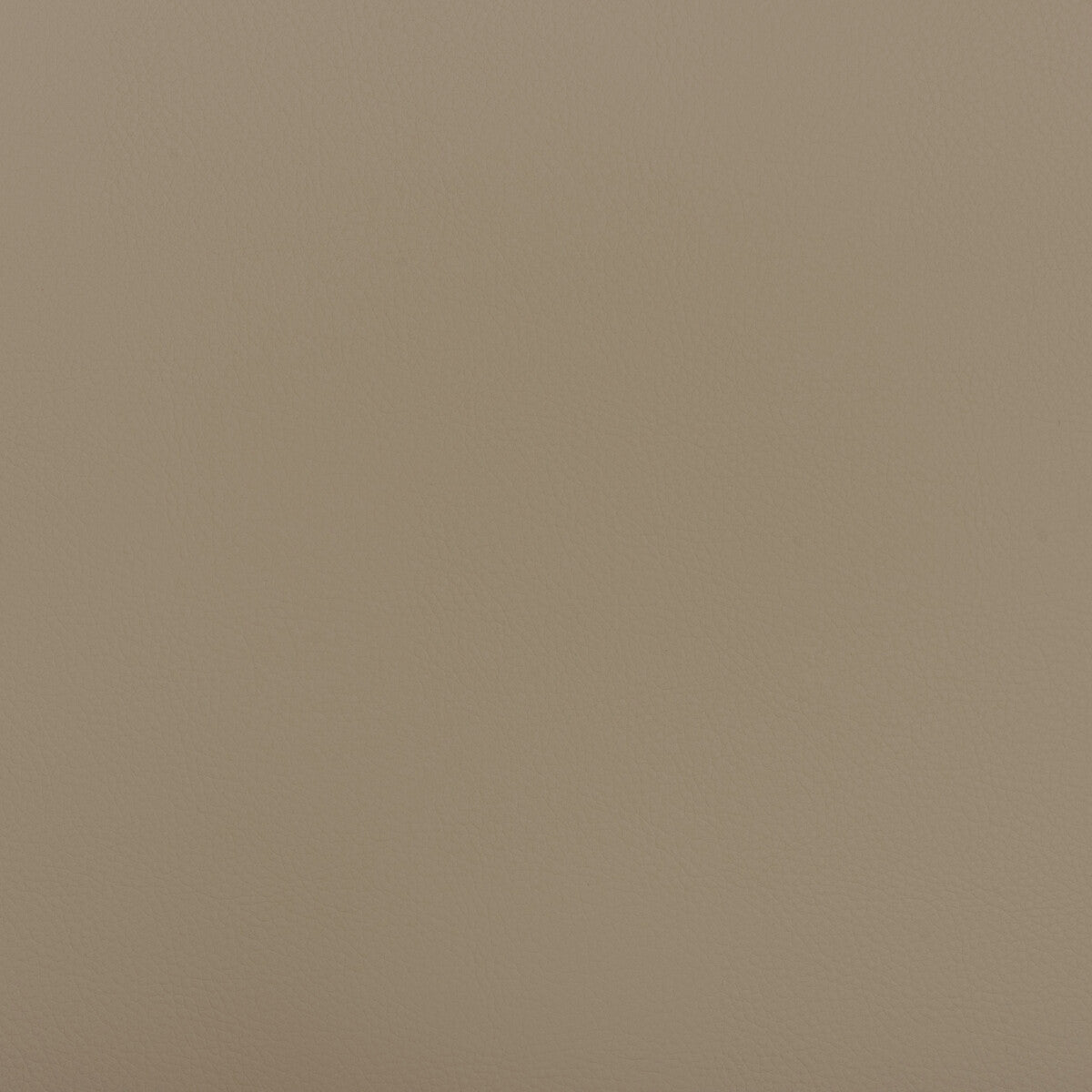 Beech fabric in beech-121 color - pattern number BEECH.121.0 - by Kravet Design in the Faux Leather IV collection