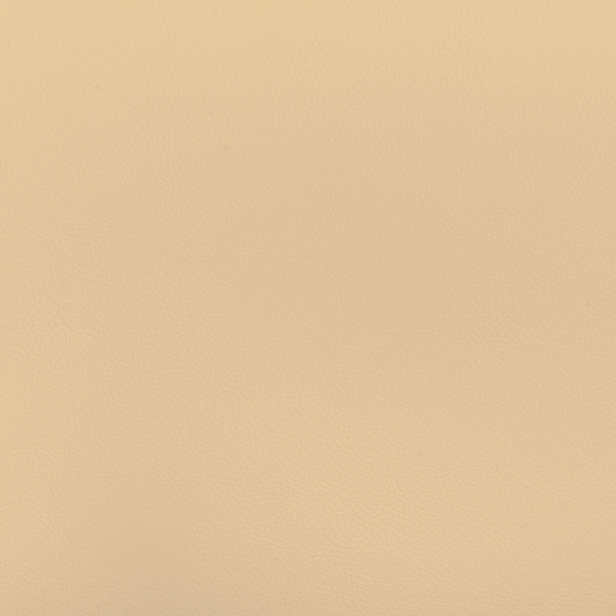 Beech fabric in beech-16 color - pattern number BEECH.16.0 - by Kravet Design in the Faux Leather IV collection
