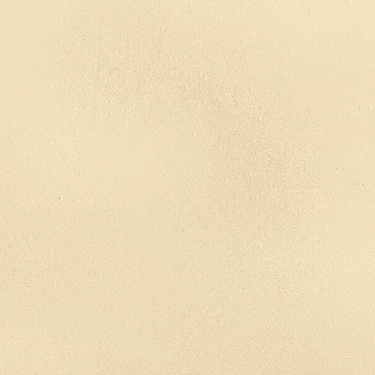Beech fabric in beech-1 color - pattern number BEECH.1.0 - by Kravet Design in the Faux Leather IV collection