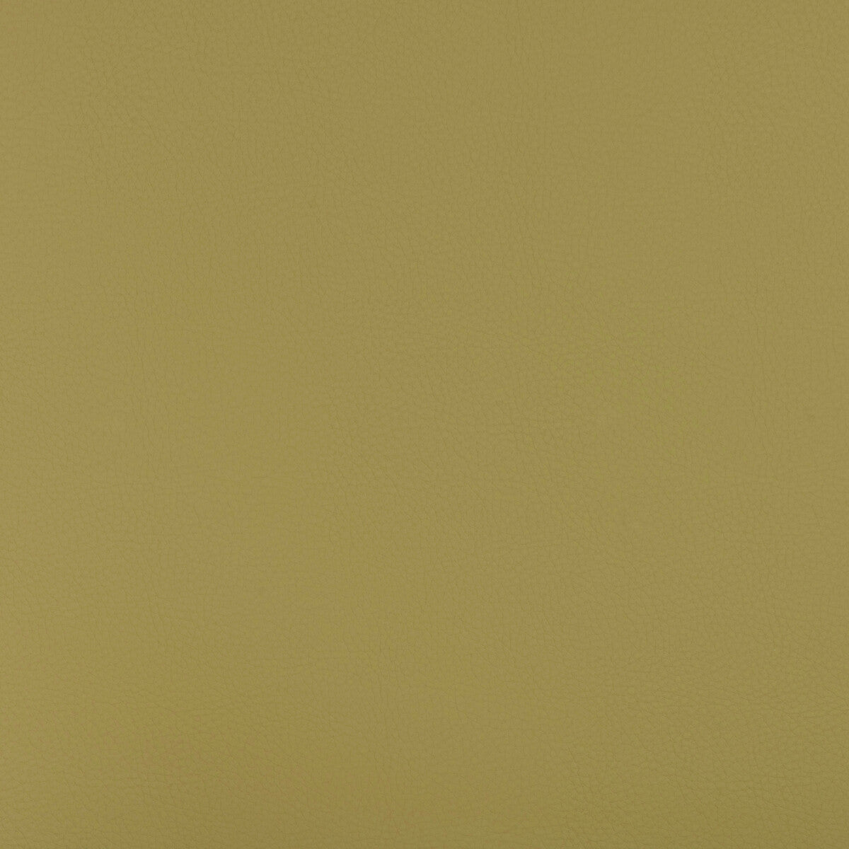 Beech fabric in beech-23 color - pattern number BEECH.23.0 - by Kravet Design in the Faux Leather IV collection