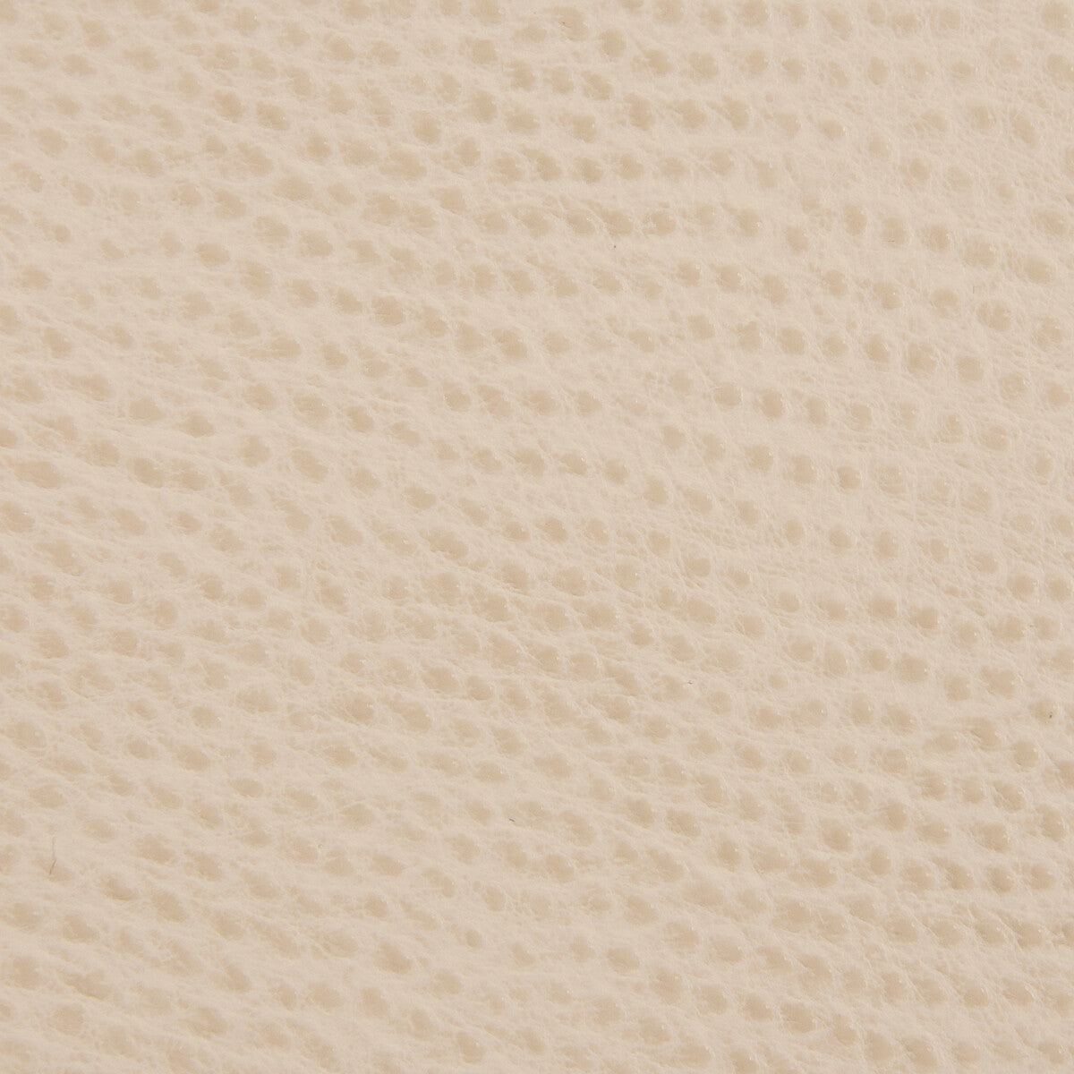 Kravet Contract fabric in belus-16 color - pattern BELUS.16.0 - by Kravet Contract