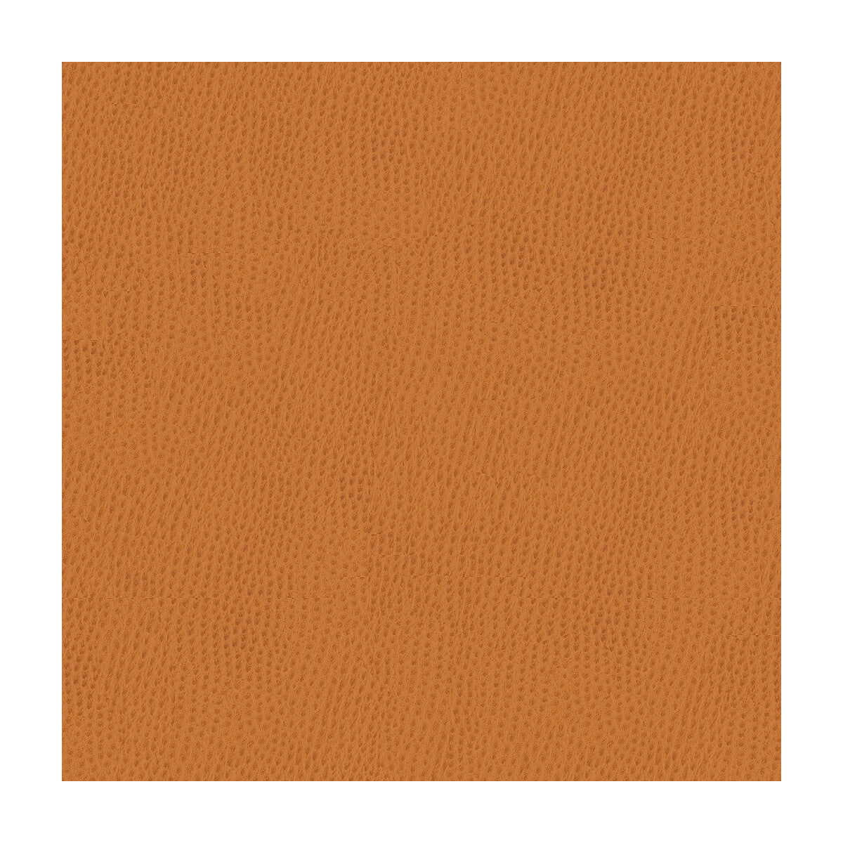 Kravet Contract fabric in belus-212 color - pattern BELUS.212.0 - by Kravet Contract