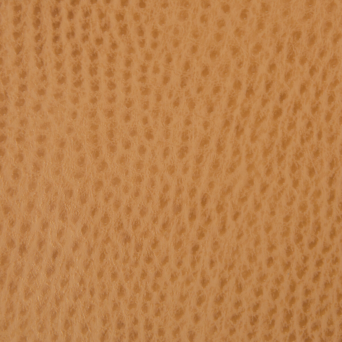 Kravet Contract fabric in belus-4 color - pattern BELUS.4.0 - by Kravet Contract