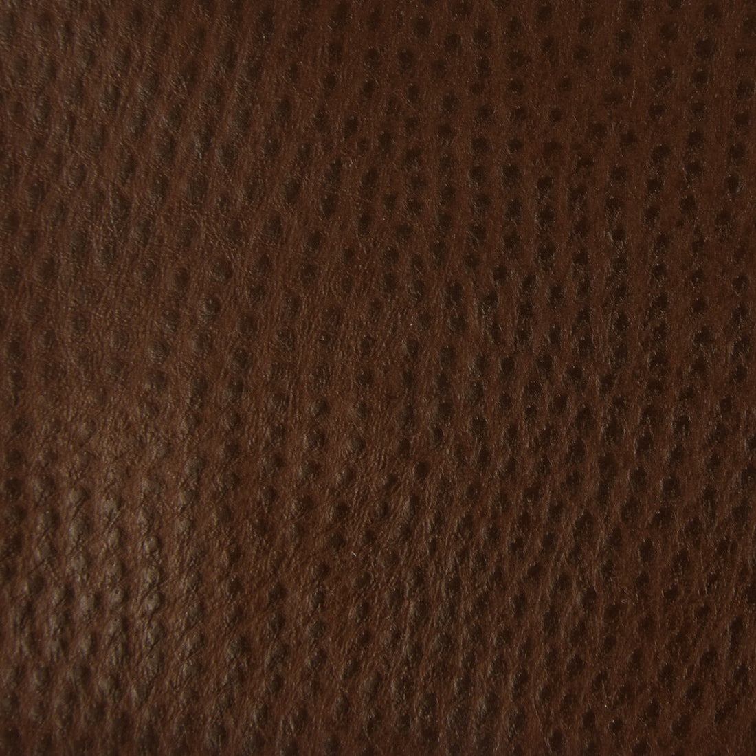 Kravet Contract fabric in belus-6 color - pattern BELUS.6.0 - by Kravet Contract