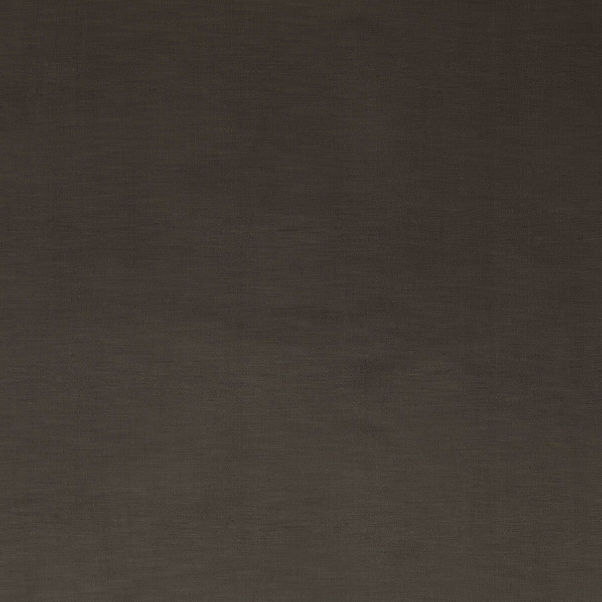 Coniston Velvet fabric in mole color - pattern BF10781.240.0 - by G P &amp; J Baker in the Coniston Velvet collection
