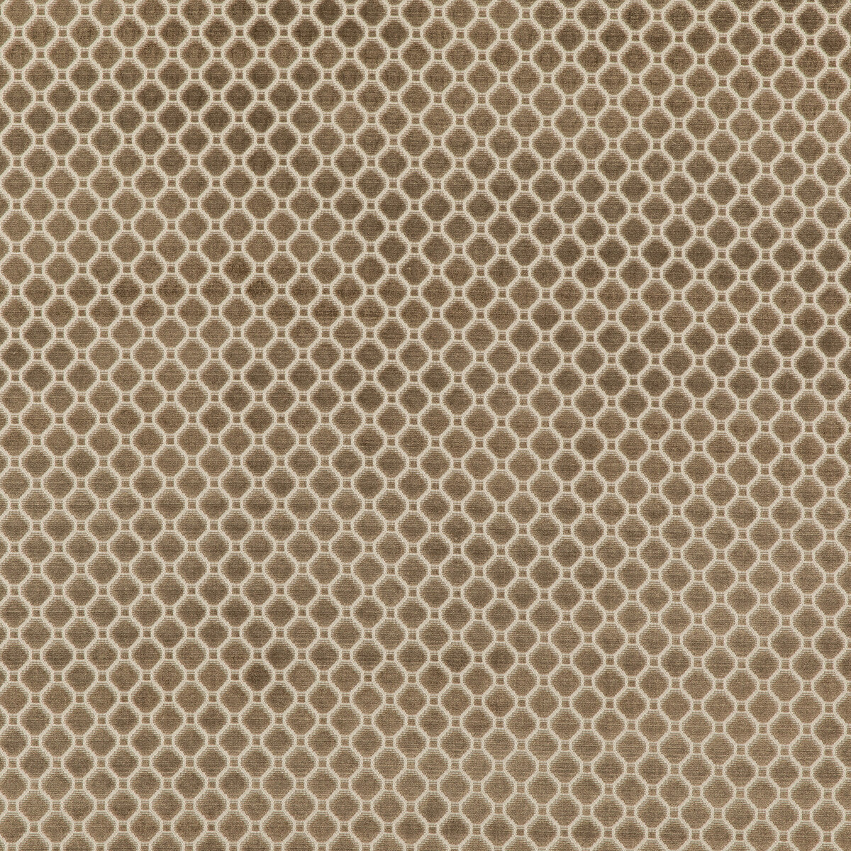 Indus Velvet fabric in mole color - pattern BF10826.240.0 - by G P &amp; J Baker in the Coromandel Velvets collection