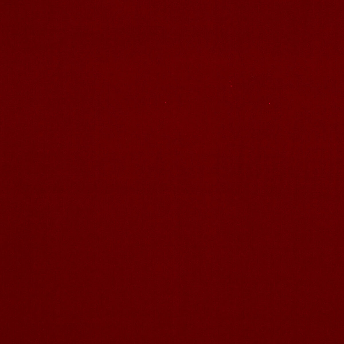 Baker House Velvet fabric in red color - pattern BF10838.450.0 - by G P &amp; J Baker in the Baker House Velvet collection