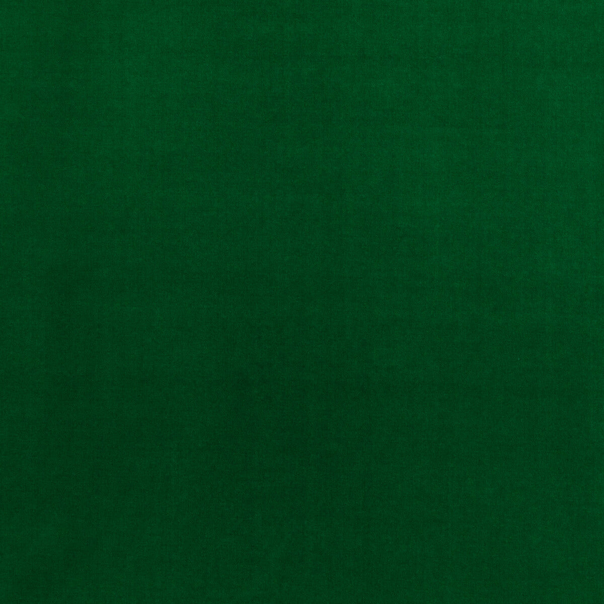 Baker House Velvet fabric in emerald color - pattern BF10838.785.0 - by G P &amp; J Baker in the Baker House Velvet collection