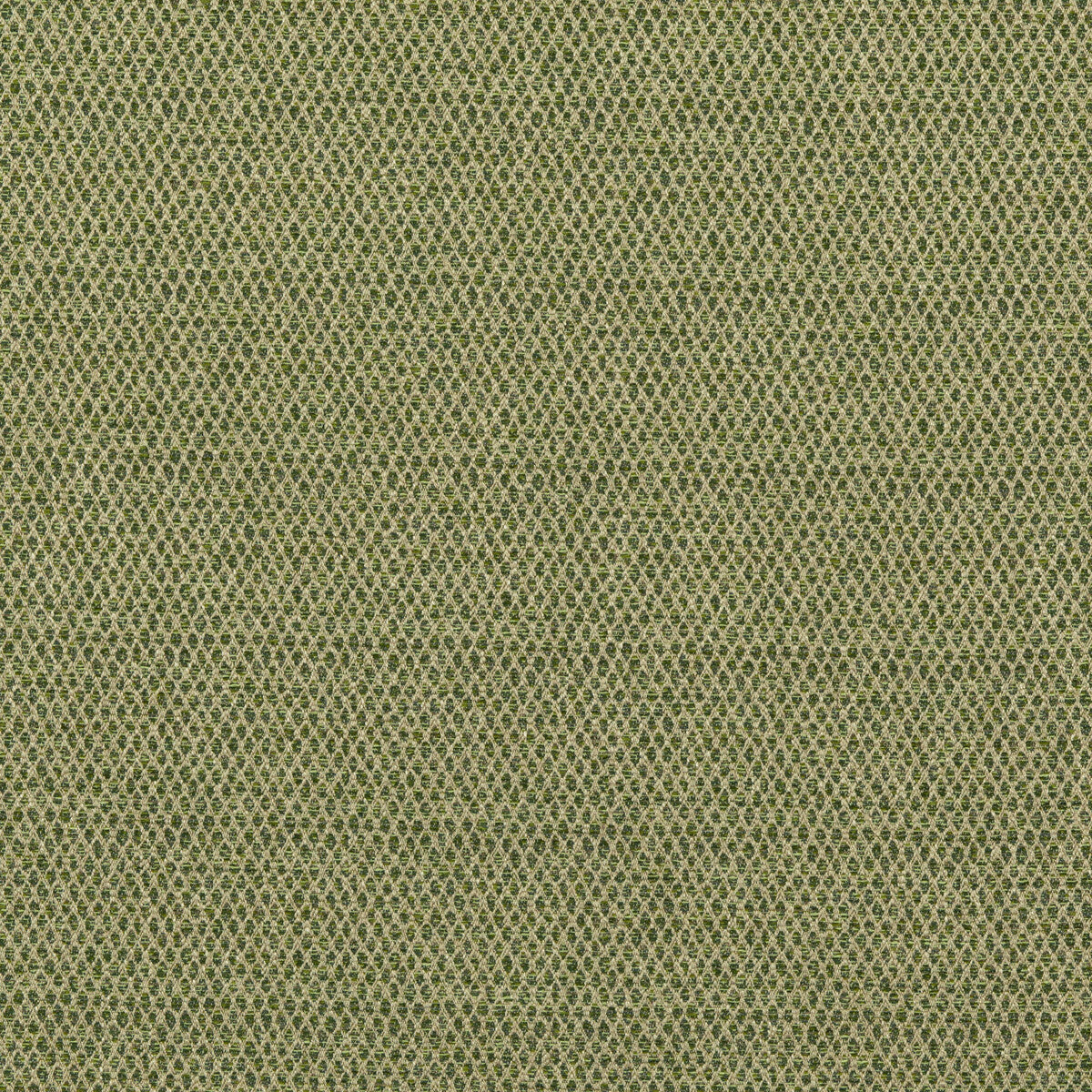 Pednor fabric in green color - pattern BF10874.735.0 - by G P &amp; J Baker in the Essential Colours II collection