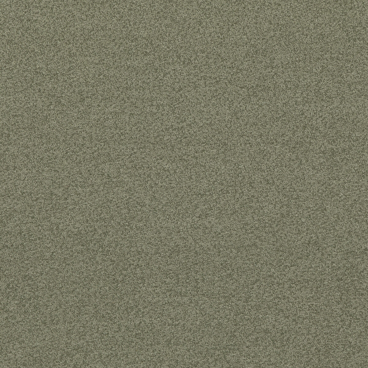 Baker House Boucle fabric in sage color - pattern BF10965.790.0 - by G P &amp; J Baker in the Baker House Boucle collection