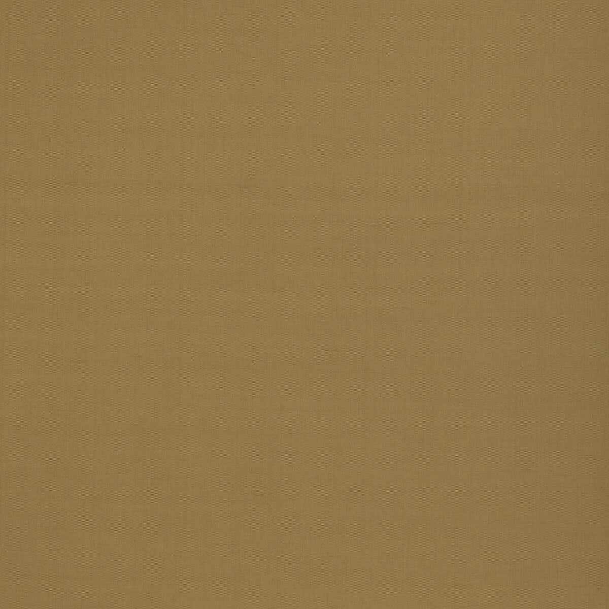 Kemble fabric in ochre color - pattern BF11046.840.0 - by G P &amp; J Baker in the Baker House Plain &amp; Stripe II collection