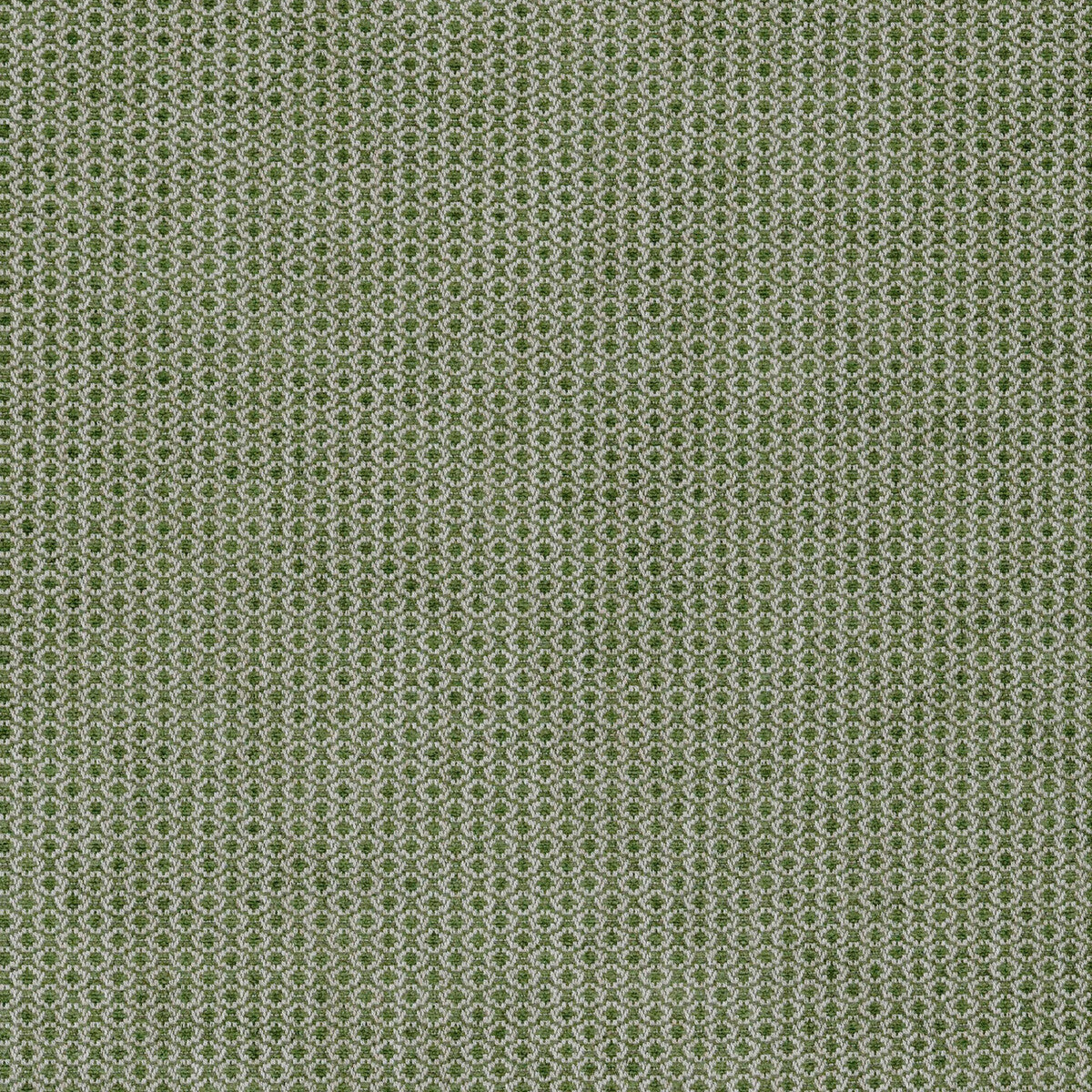 Cosgrove fabric in moss color - pattern BFC-3672.3.0 - by Lee Jofa in the Blithfield collection