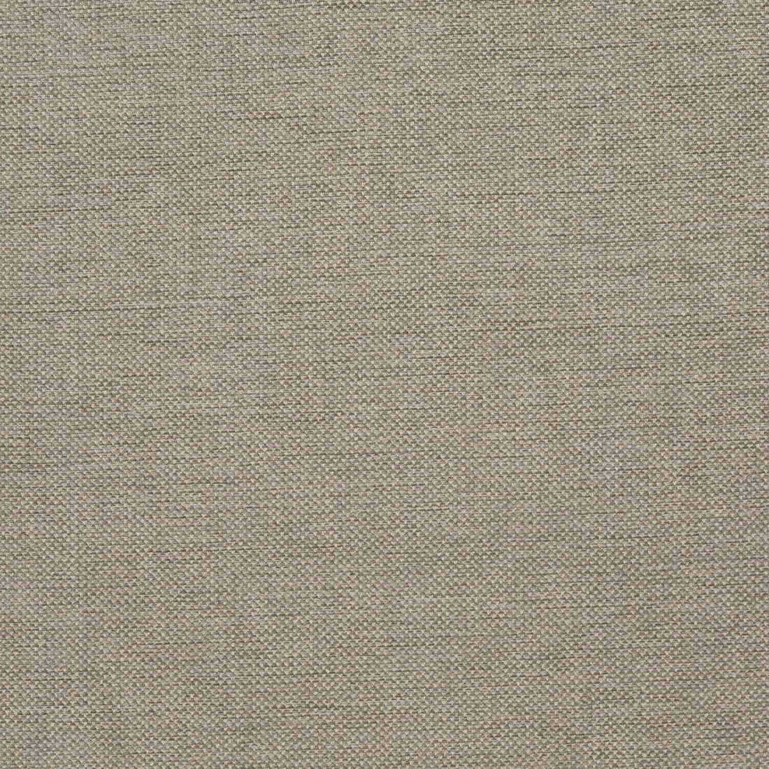 Webster fabric in mist color - pattern BFC-3713.113.0 - by Lee Jofa in the Blithfield Eden collection