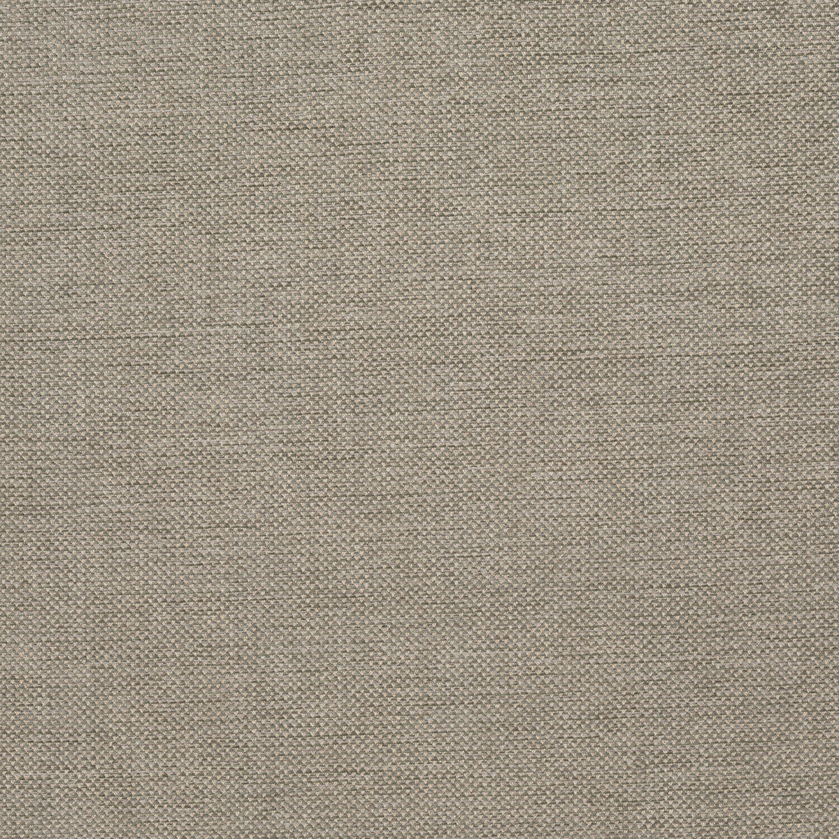 Webster fabric in mist color - pattern BFC-3713.113.0 - by Lee Jofa in the Blithfield Eden collection