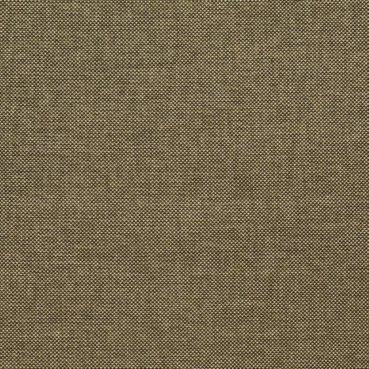 Webster fabric in moss color - pattern BFC-3713.30.0 - by Lee Jofa in the Blithfield Eden collection