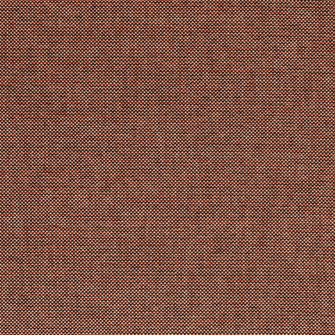 Webster fabric in russet color - pattern BFC-3713.924.0 - by Lee Jofa in the Blithfield Eden collection