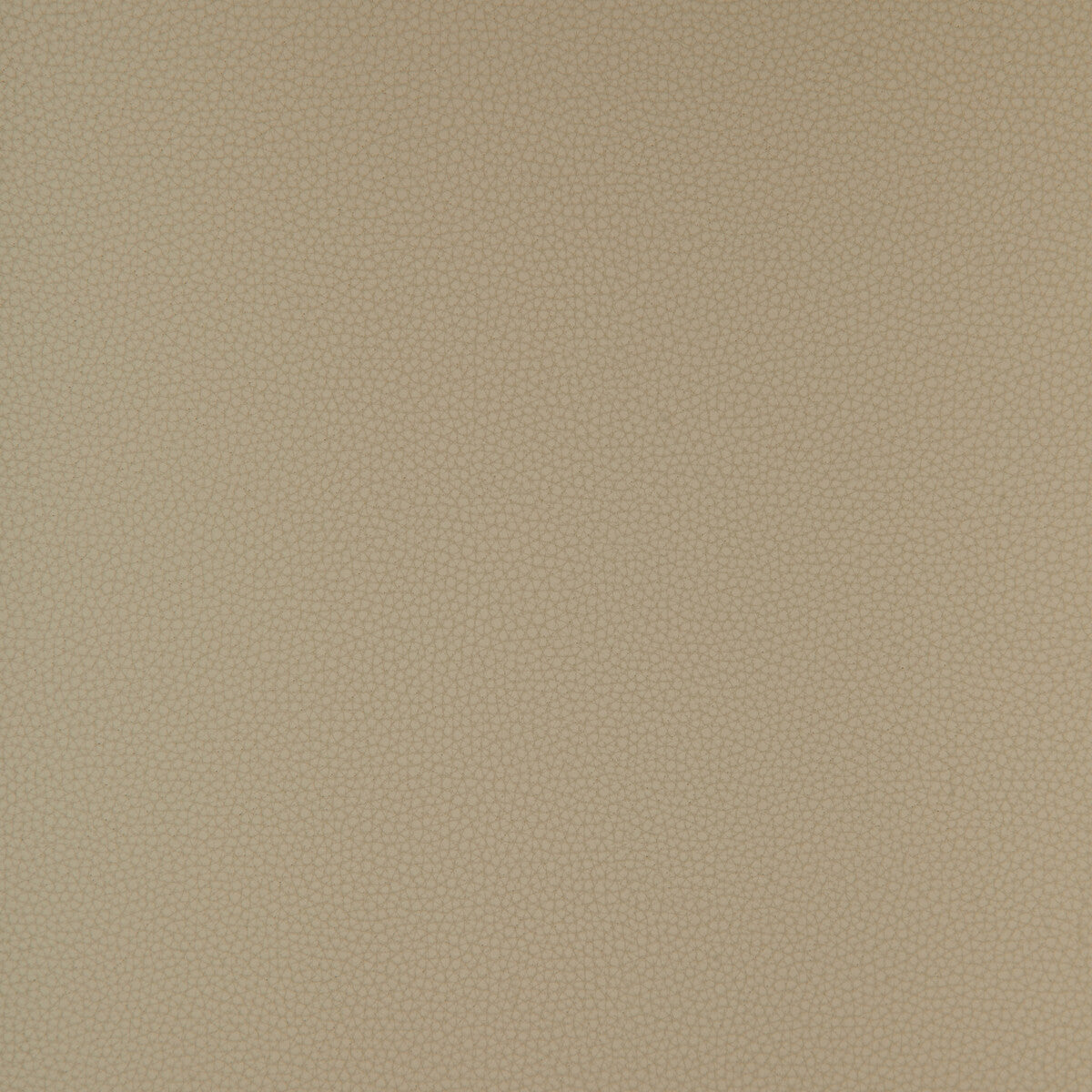 Bind fabric in bind-11 color - pattern number BIND.11.0 - by Kravet Design in the Faux Leather IV collection