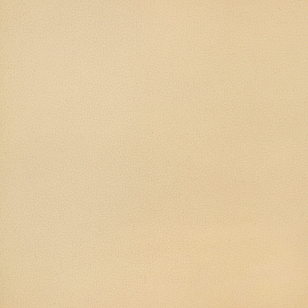 Bind fabric in bind-16 color - pattern number BIND.16.0 - by Kravet Design in the Faux Leather IV collection