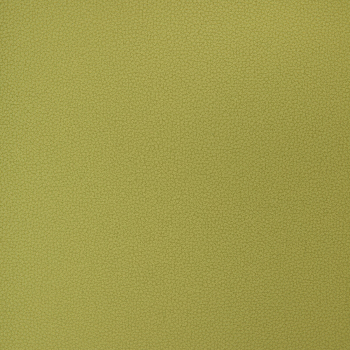 Bind fabric in bind-23 color - pattern number BIND.23.0 - by Kravet Design in the Faux Leather IV collection