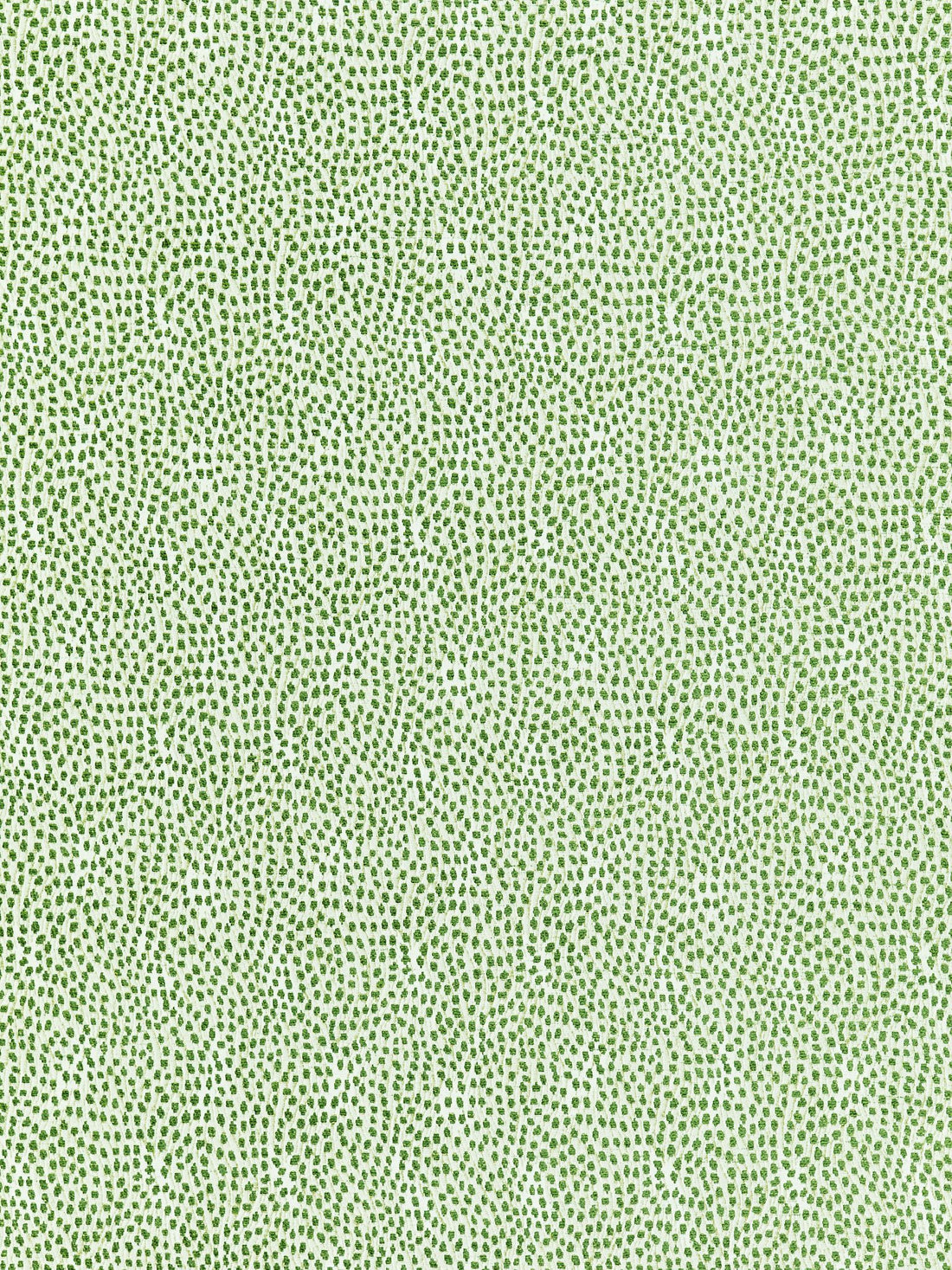 Flurry fabric in leaf color - pattern number BI 00031234 - by Scalamandre in the Old World Weavers collection