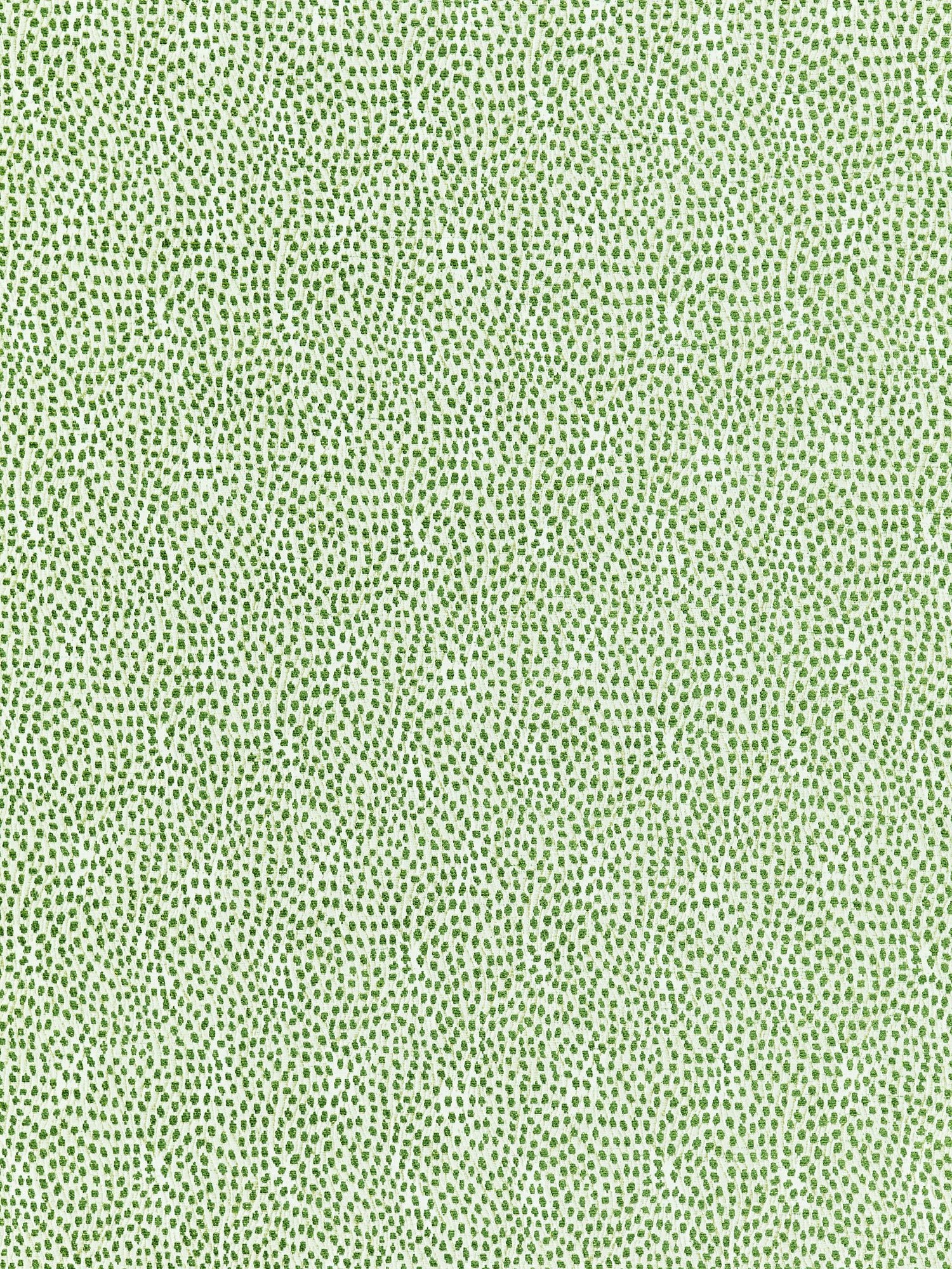 Flurry fabric in leaf color - pattern number BI 00031234 - by Scalamandre in the Old World Weavers collection