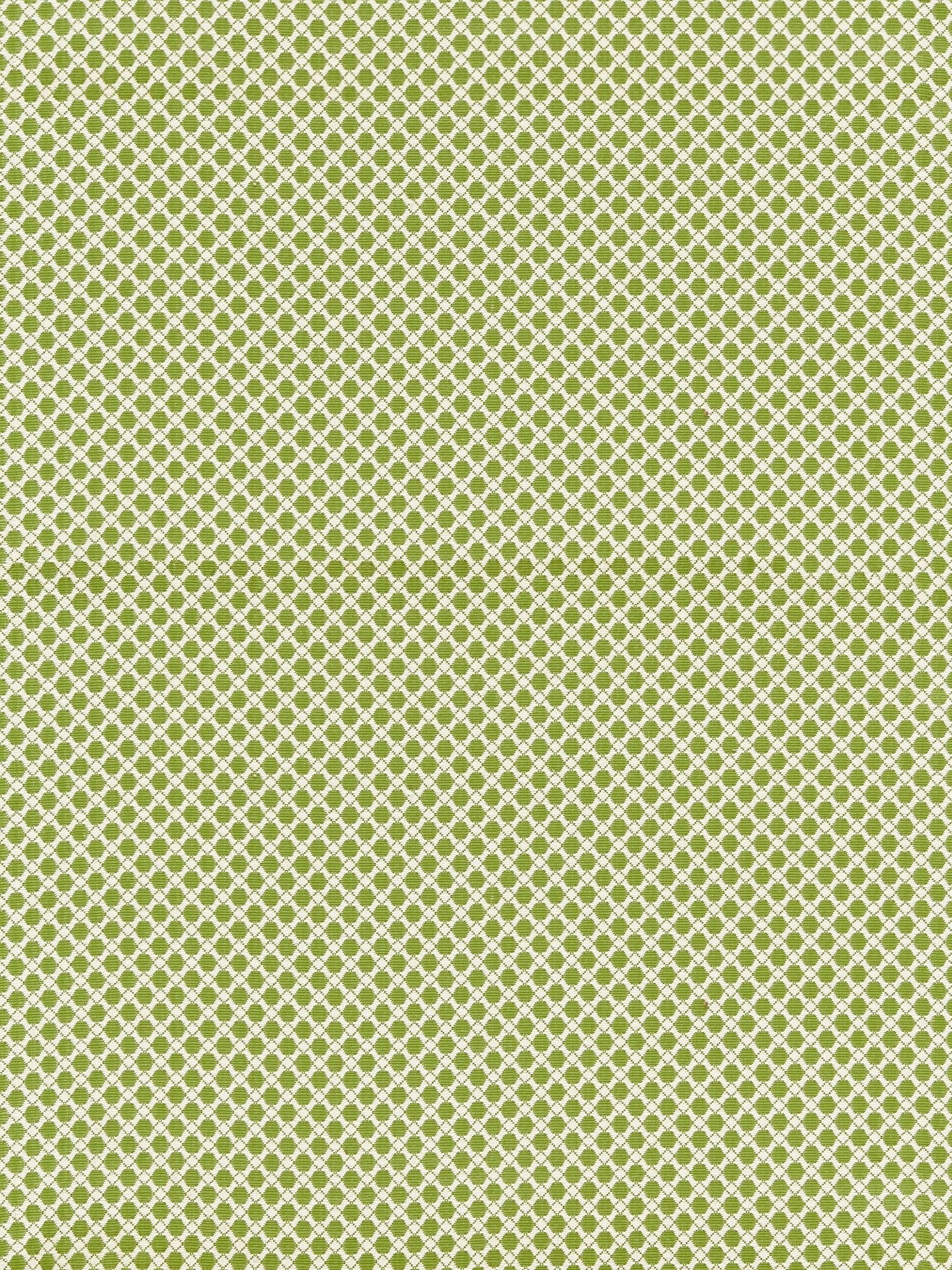 Bellaire Trellis fabric in leaf color - pattern number BK 0003K65121 - by Scalamandre in the Old World Weavers collection