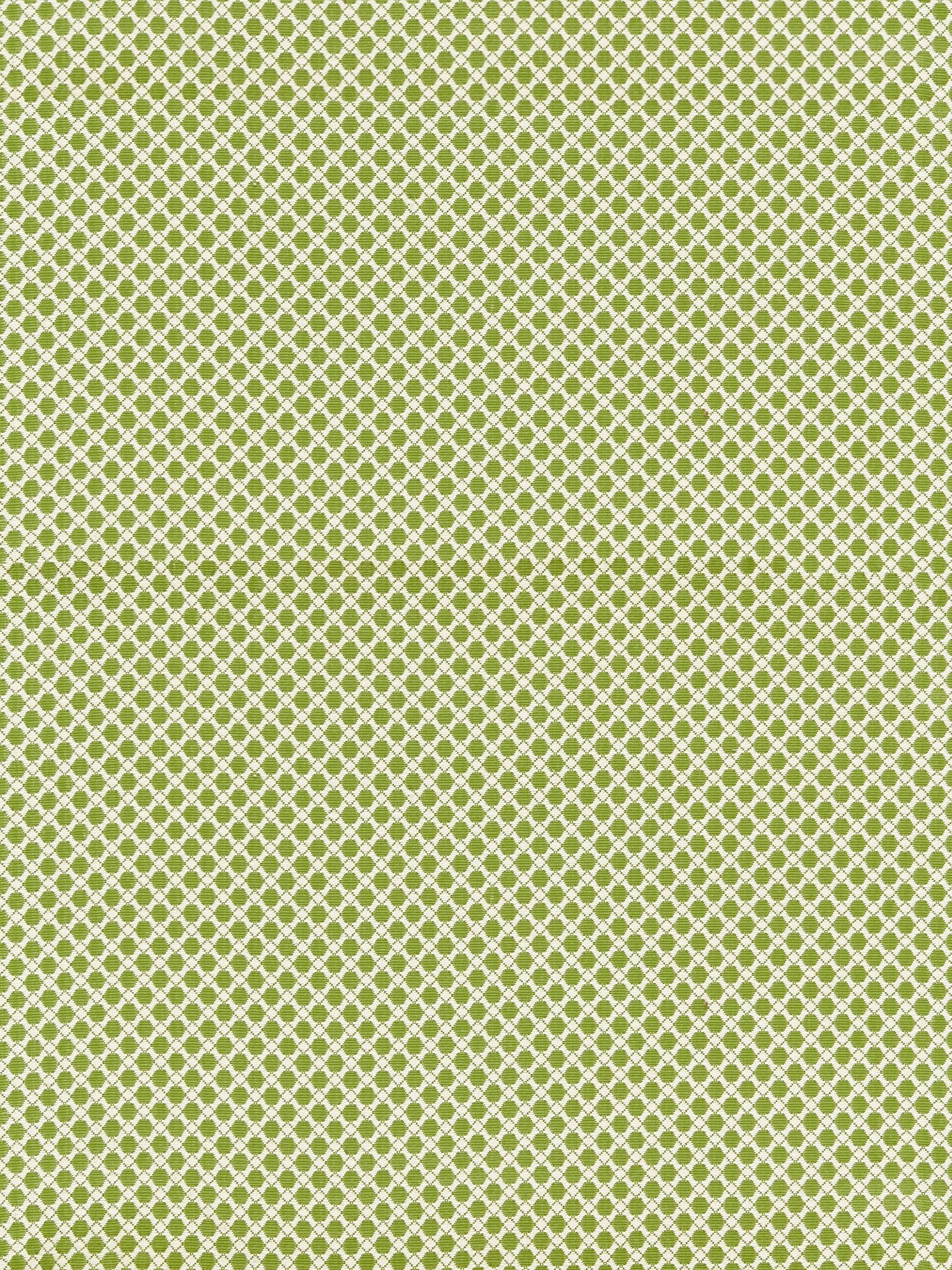 Bellaire Trellis fabric in leaf color - pattern number BK 0003K65121 - by Scalamandre in the Old World Weavers collection