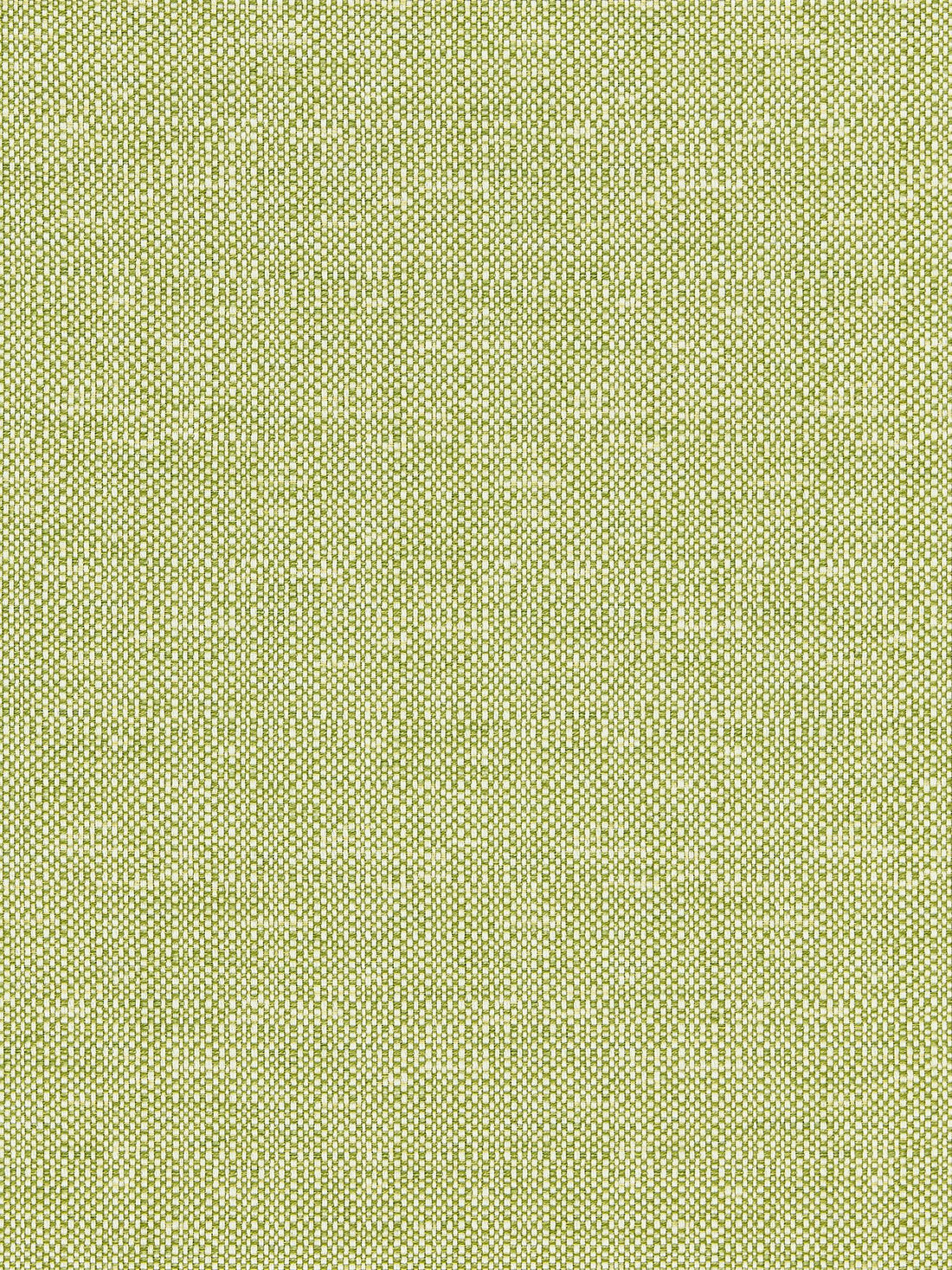 Chester Weave fabric in leaf color - pattern number BK 0004K65118 - by Scalamandre in the Old World Weavers collection
