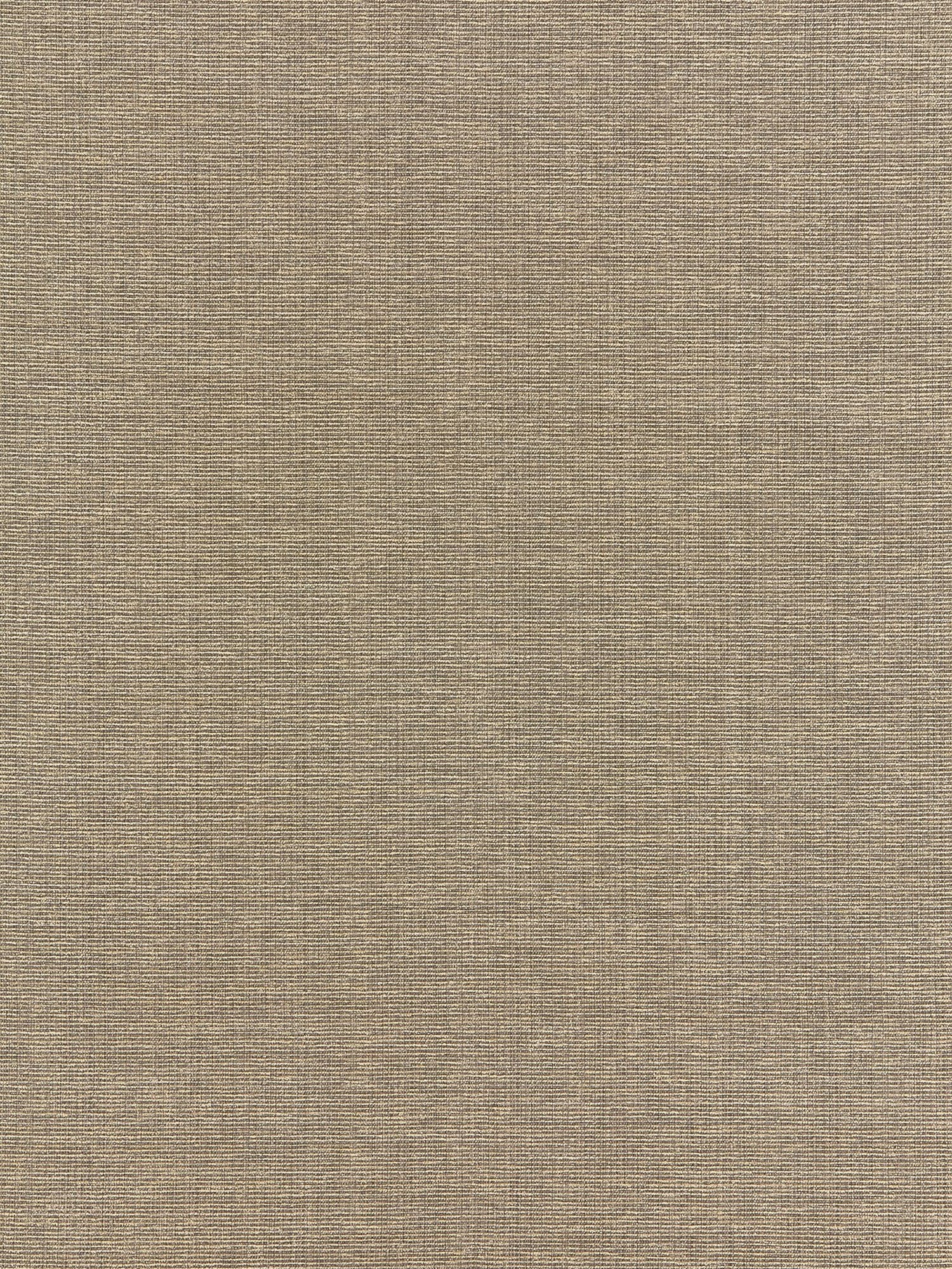 Thompson Chenille fabric in taupe color - pattern number BK 0005K65114 - by Scalamandre in the Old World Weavers collection