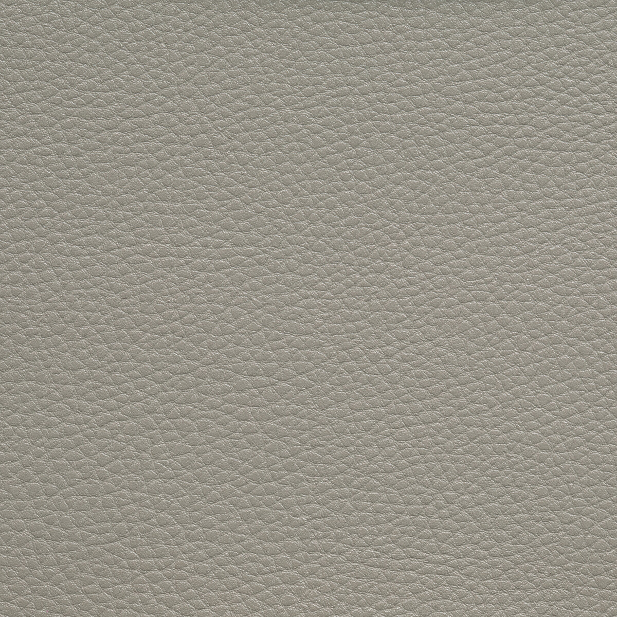 Boone fabric in chinchilla color - pattern BOONE.1611.0 - by Kravet Contract in the Foundations / Value collection