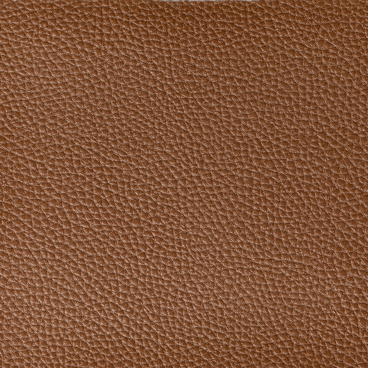 Boone fabric in saddle color - pattern BOONE.40.0 - by Kravet Contract in the Foundations / Value collection