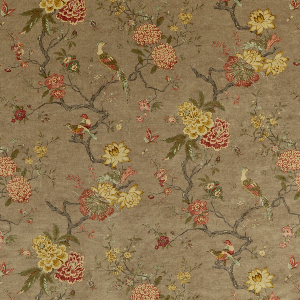 Oriental Bird Velvet fabric in mole color - pattern BP10818.1.0 - by G P &amp; J Baker in the Signature Velvets collection