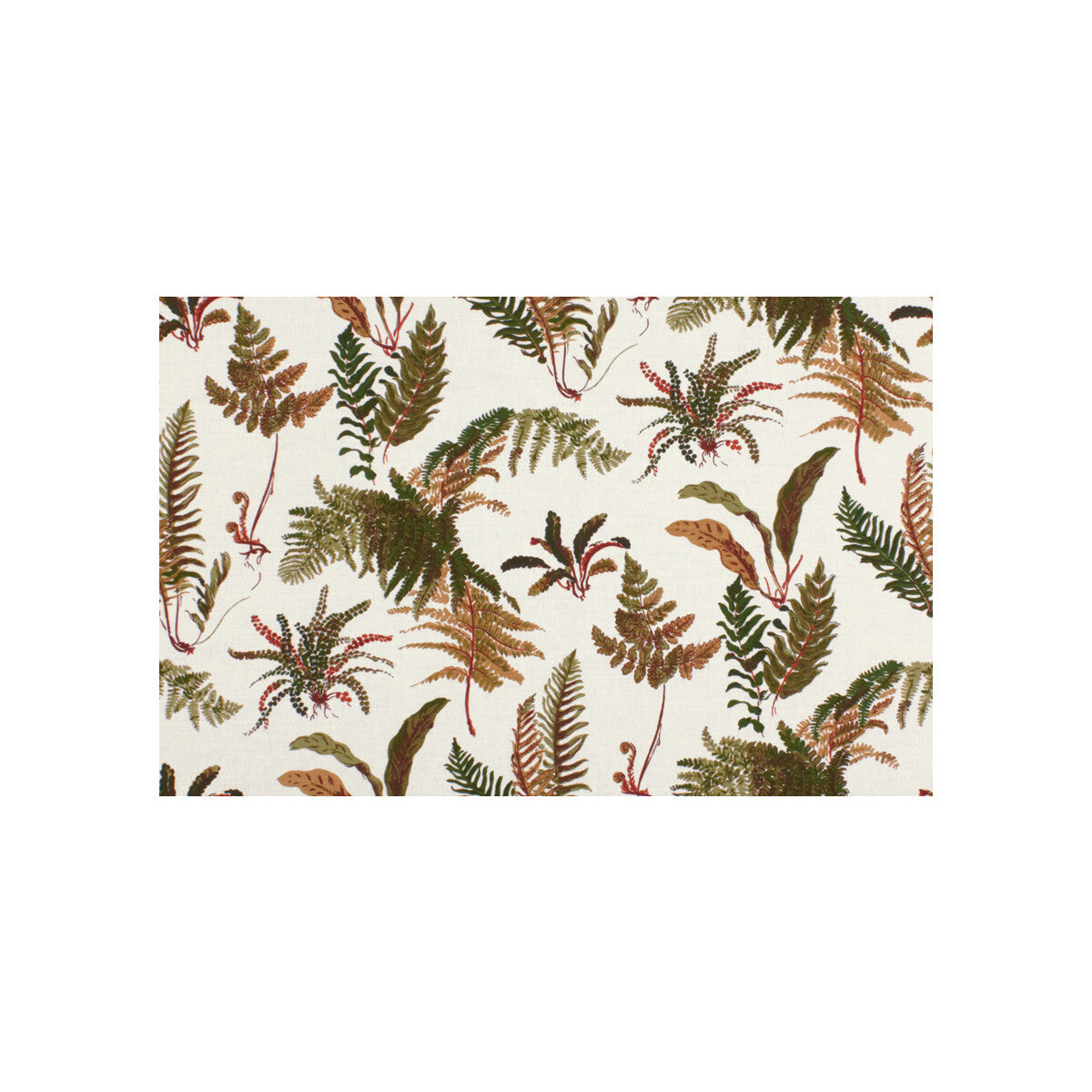 Les Fougeres fabric in natural color - pattern BR-79305.050.0 - by Brunschwig &amp; Fils