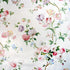 Bien-Aimee Cotton Print fabric in vanilla color - pattern BR-79602.014.0 - by Brunschwig & Fils