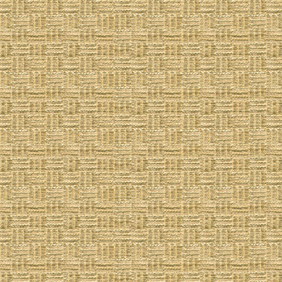Reed Texture fabric in linen color - pattern BR-800043.052.0 - by Brunschwig &amp; Fils