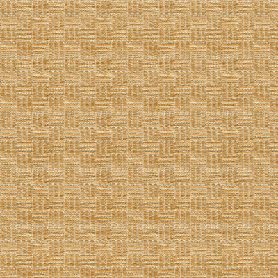 Reed Texture fabric in biscuit color - pattern BR-800043.063.0 - by Brunschwig &amp; Fils