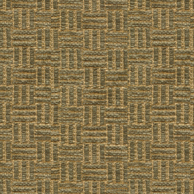 Reed Texture fabric in herb color - pattern BR-800043.447.0 - by Brunschwig &amp; Fils