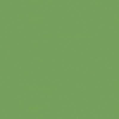 Satin La Tour fabric in vert color - pattern BR-81079.Y.0 - by Brunschwig &amp; Fils