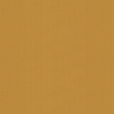 Ninon Taffetas fabric in blonde color - pattern BR-81081.307.0 - by Brunschwig &amp; Fils