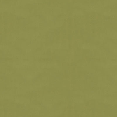 Ninon Taffetas fabric in fern color - pattern BR-81081.489.0 - by Brunschwig &amp; Fils