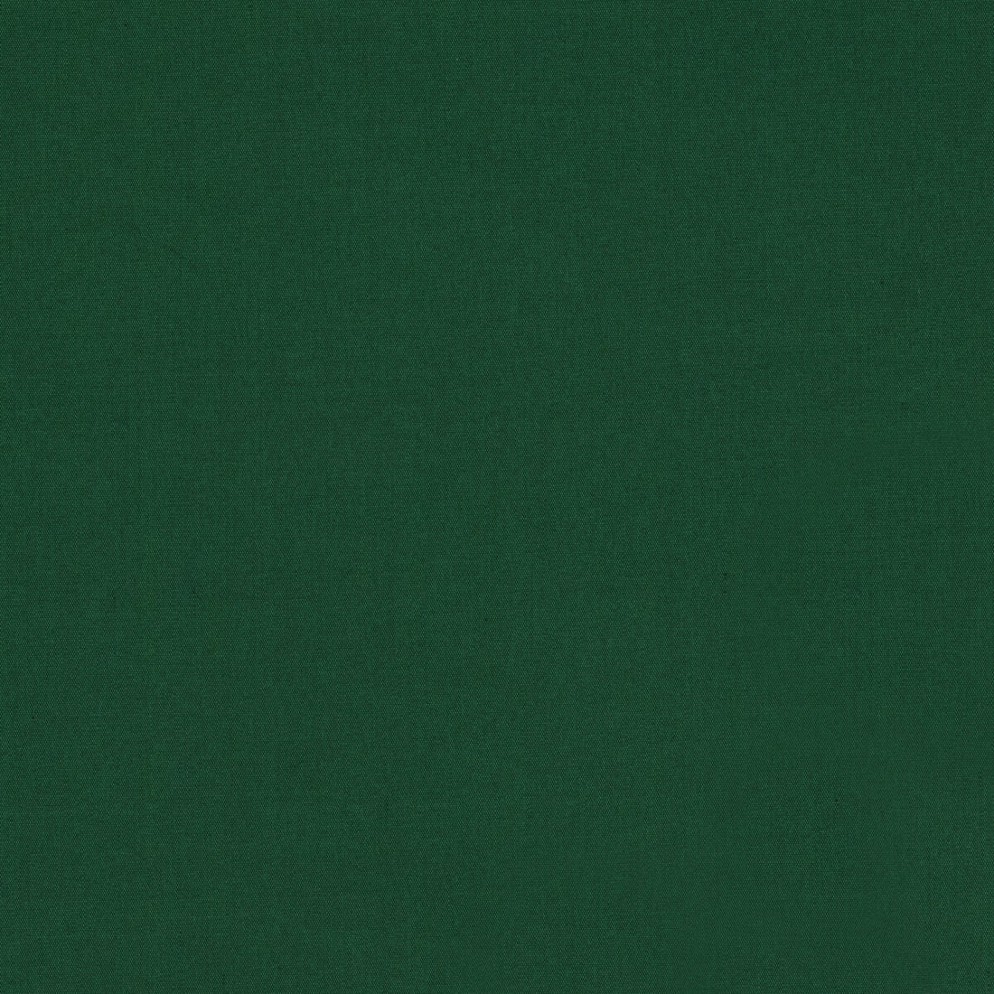 Ninon Taffetas fabric in emerald color - pattern BR-81081.53.0 - by Brunschwig &amp; Fils