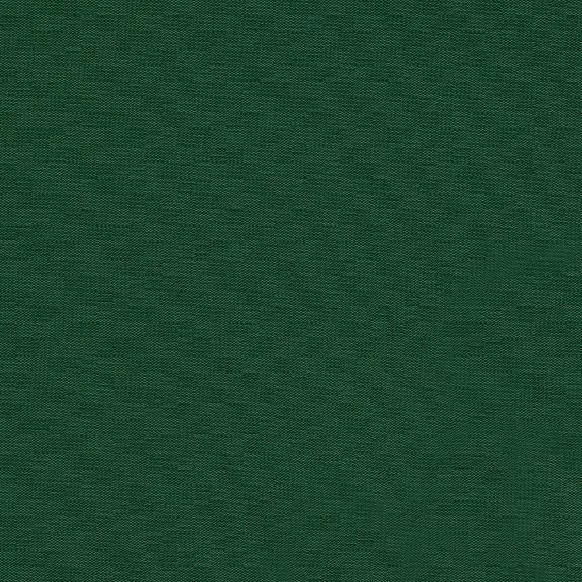 Ninon Taffetas fabric in emerald color - pattern BR-81081.53.0 - by Brunschwig &amp; Fils