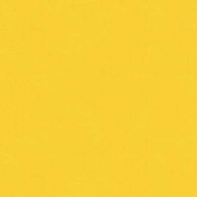 Ninon Taffetas fabric in jaune color - pattern BR-81081.J.0 - by Brunschwig &amp; Fils