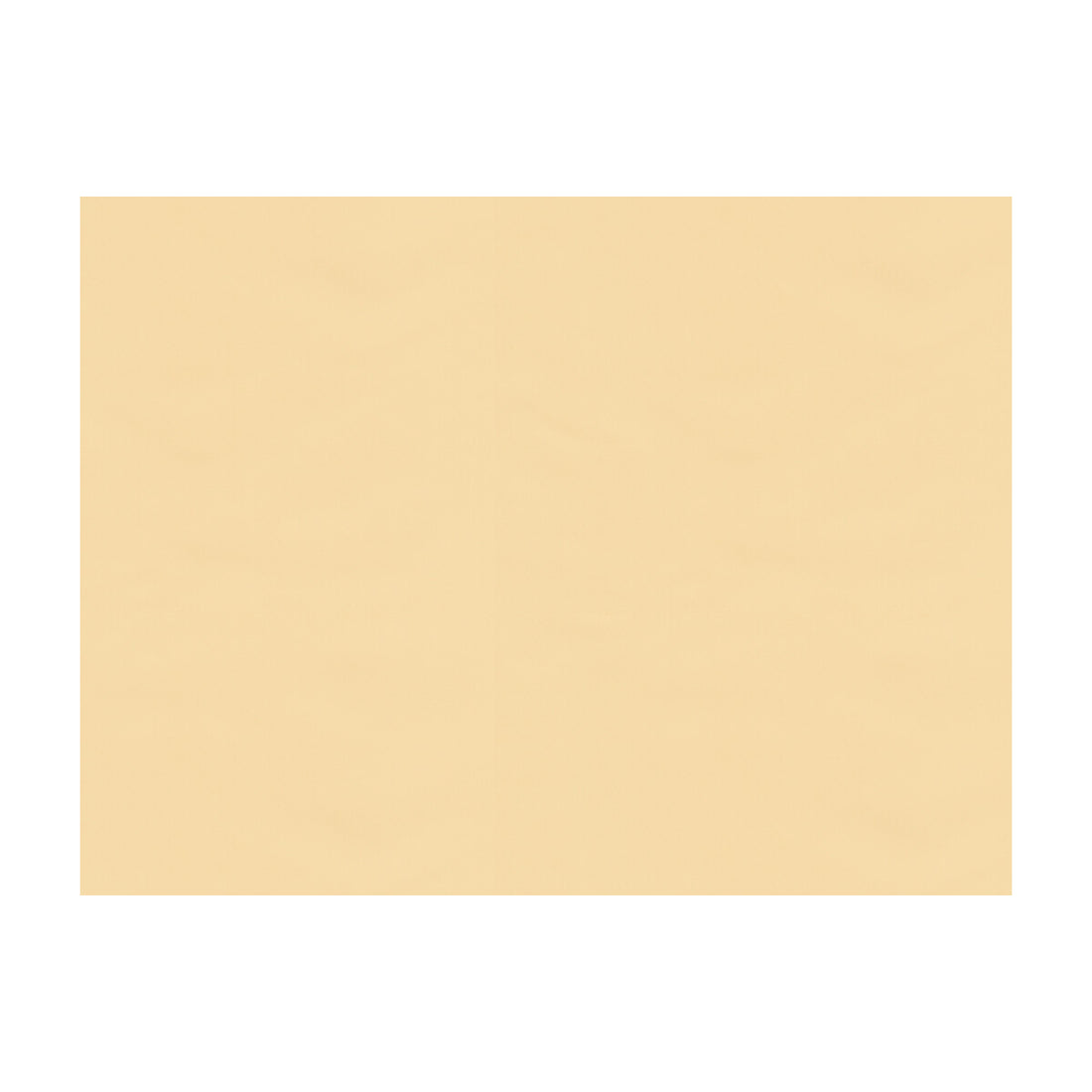 Ninon Taffetas fabric in beige color - pattern BR-81081.PPA.0 - by Brunschwig &amp; Fils