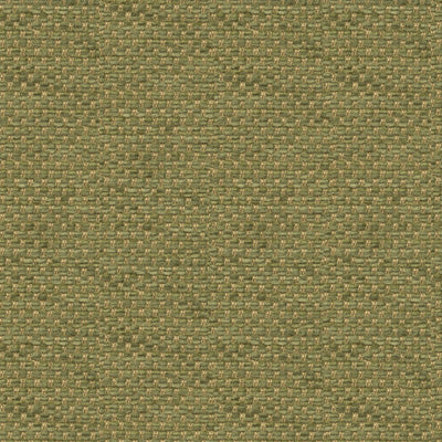Yorke Chenille fabric in moss color - pattern BR-81782.406.0 - by Brunschwig &amp; Fils