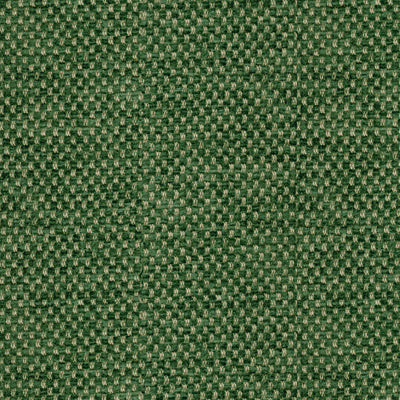 Yorke Chenille fabric in forest color - pattern BR-81782.488.0 - by Brunschwig &amp; Fils